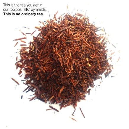 rooibos tea.jpg
